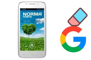 How to delete the Google account in KENEKSI Norma