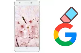 How to delete the Google account in VC Sakura