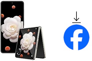 How to install Facebook on a Honor Magic V Flip