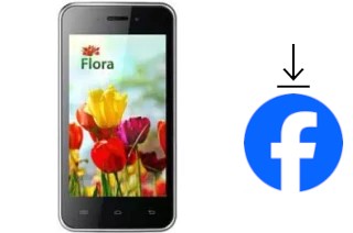 How to install Facebook on a KENEKSI Flora