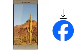 How to install Facebook on a VC Cactus