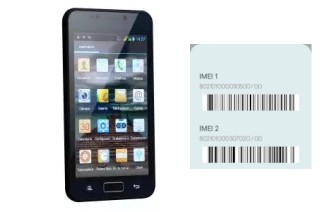 How to see the IMEI code in TM500