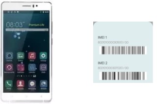 How to find the IMEI code on Amigoo H6