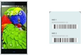 How to see the IMEI code in DM550