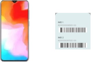 How to see the IMEI code in X20 Pro