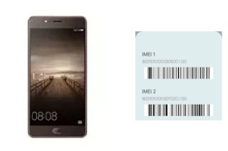 How to see the IMEI code in P8 Mini