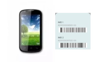 How to see the IMEI code in A209 2G