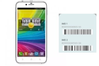 How to see the IMEI code in KIS 2W