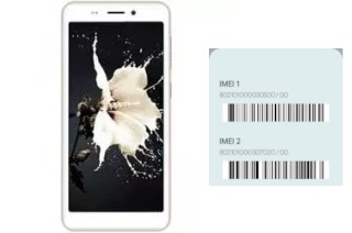 How to see the IMEI code in Kenxinda T50