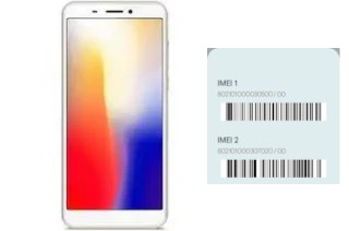 How to see the IMEI code in Kenxinda T55