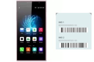 How to see the IMEI code in Rex R2