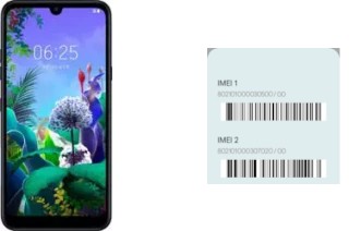 How to see the IMEI code in LG X6