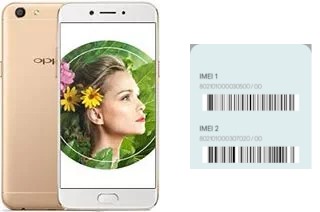 How to see the IMEI code in Oppo A77