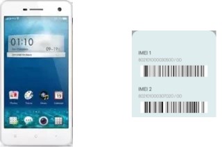 How to see the IMEI code in Mirror R819