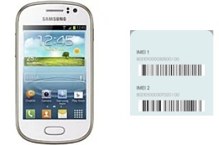 How to find the IMEI code on Galaxy Fame S6810