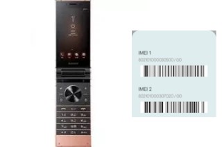 How to find the IMEI code on W2019