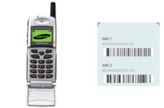 How to find the IMEI code on SGH-2100