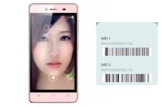 How to see the IMEI code in Sapphire Z450