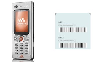 How to find the IMEI code on W880