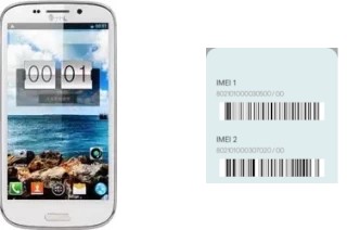 How to see the IMEI code in W300