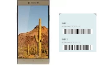 How to see the IMEI code in Cactus