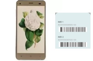 How to see the IMEI code in Camellia II