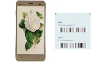 How to see the IMEI code in Camellia