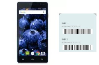 How to find the IMEI code on Reiv 500