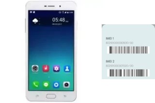 How to see the IMEI code in Q-Mate R99