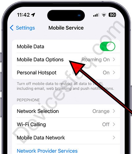 iPhone mobile data options