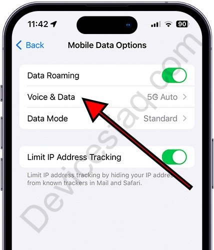 iPhone voice and data