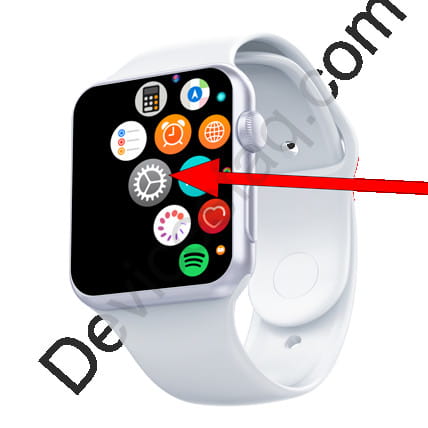 Apple Watch settings icon