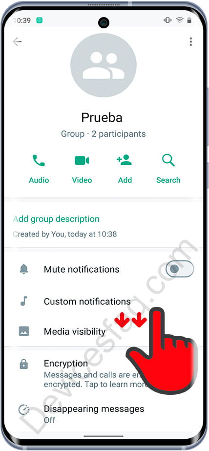 Group information on WhatsApp