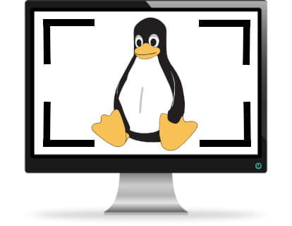 How to take screenshots in Linux