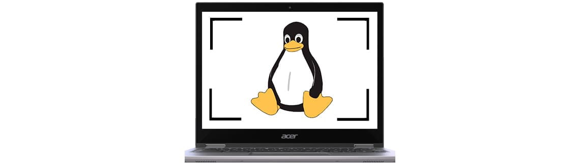 How to take screenshots in Linux