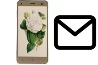 Set up mail in VC Camellia II