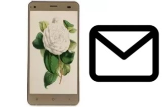 Set up mail in VC Camellia