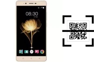 How to read QR codes on an Accent Speed X2?