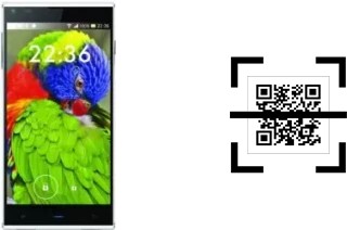 How to read QR codes on a Blackview DM550?