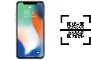 How to read QR codes on a CCIT X Edition?