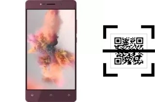 How to read QR codes on an Echo Holi?