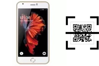 How to read QR codes on a L-Max Ester 1?