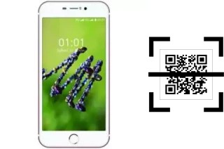 How to read QR codes on a L-Max Mega Plus 1?