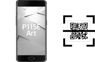 How to read QR codes on a Reeder P11SE Art?