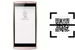 How to read QR codes on a SingTech P501?