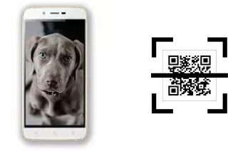 How to read QR codes on a Siswoo A6 Vanilla?