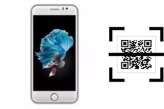 How to read QR codes on a SKG Modern S6?