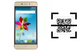 How to read QR codes on a TWM Amazing X5S?