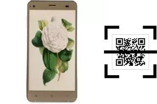 How to read QR codes on a VC Camellia II?