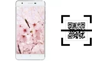 How to read QR codes on a VC Maple?